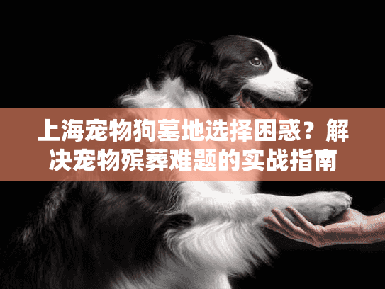 上海宠物狗墓地选择困惑？解决宠物殡葬难题的实战指南