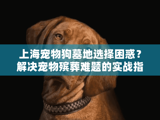 上海宠物狗墓地选择困惑？解决宠物殡葬难题的实战指南