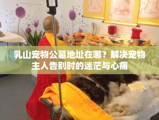 乳山宠物公墓地址在哪？解决宠物主人告别时的迷茫与心痛