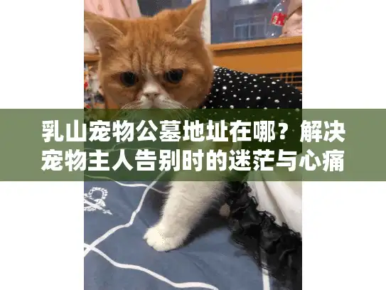 乳山宠物公墓地址在哪？解决宠物主人告别时的迷茫与心痛