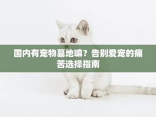 国内有宠物墓地嘛？告别爱宠的痛苦选择指南