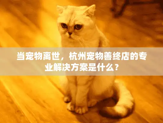 当宠物离世，杭州宠物善终店的专业解决方案是什么？