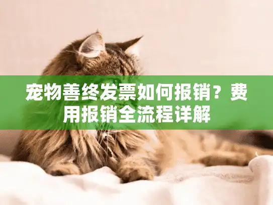 宠物善终发票如何报销?费用报销全流程详解 宠物善终发票如何报销?费用报销全流程详解