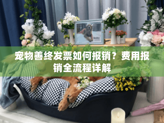 宠物善终发票如何报销?费用报销全流程详解 宠物善终发票如何报销?费用报销全流程详解