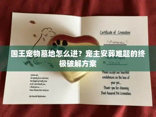 国王宠物墓地怎么进？宠主安葬难题的终极破解方案