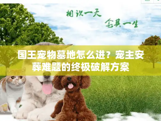 国王宠物墓地怎么进？宠主安葬难题的终极破解方案