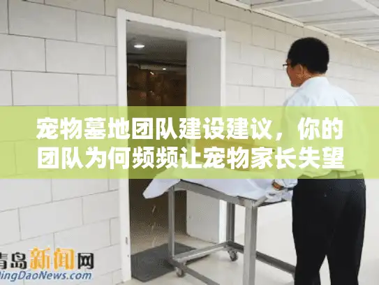 宠物墓地团队建设建议，你的团队为何频频让宠物家长失望？