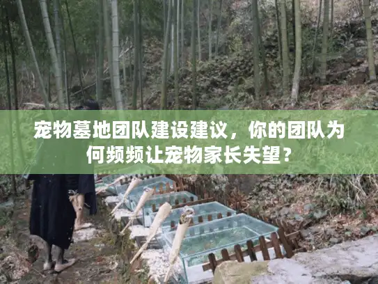 宠物墓地团队建设建议，你的团队为何频频让宠物家长失望？