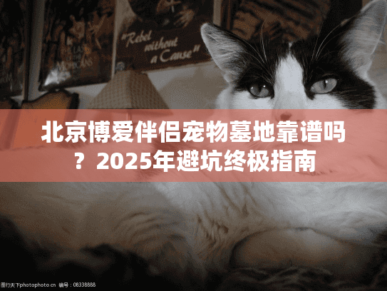 北京博爱伴侣宠物墓地靠谱吗？2025年避坑终极指南