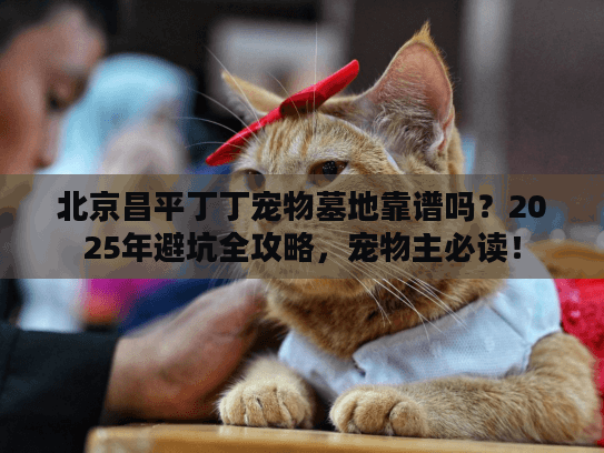 北京昌平丁丁宠物墓地靠谱吗?2025年避坑全攻略,宠物主必读! 北京昌平丁丁宠物墓地靠谱吗?2025年避坑全攻略,宠物主必读!