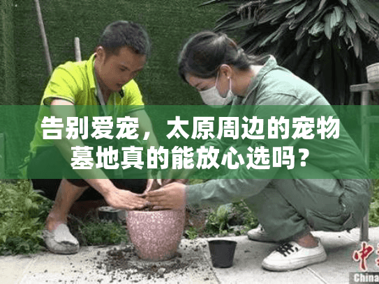告别爱宠，太原周边的宠物墓地真的能放心选吗？