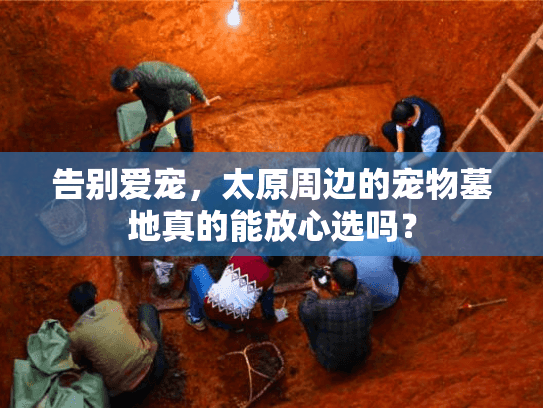 告别爱宠，太原周边的宠物墓地真的能放心选吗？