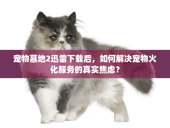 宠物墓地2迅雷下载后，如何解决宠物火化服务的真实焦虑？