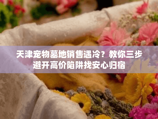 天津宠物墓地销售遇冷？教你三步避开高价陷阱找安心归宿