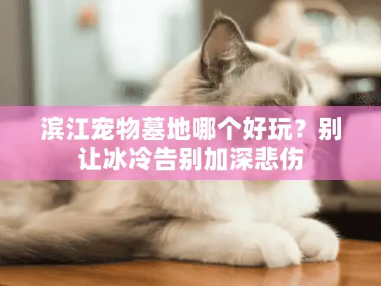 滨江宠物墓地哪个好玩?别让冰冷告别加深悲伤 滨江宠物墓地哪个好玩?别让冰冷告别加深悲伤