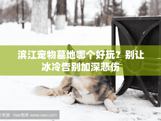 滨江宠物墓地哪个好玩?别让冰冷告别加深悲伤 滨江宠物墓地哪个好玩?别让冰冷告别加深悲伤