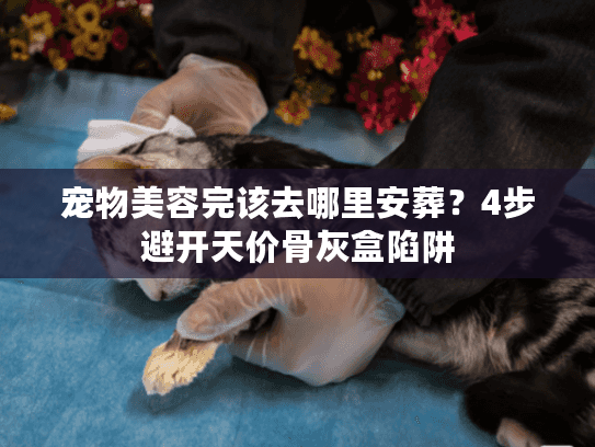 宠物美容完该去哪里安葬?4步避开天价骨灰盒陷阱 宠物美容完该去哪里安葬?4步避开天价骨灰盒陷阱