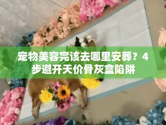 宠物美容完该去哪里安葬?4步避开天价骨灰盒陷阱 宠物美容完该去哪里安葬?4步避开天价骨灰盒陷阱