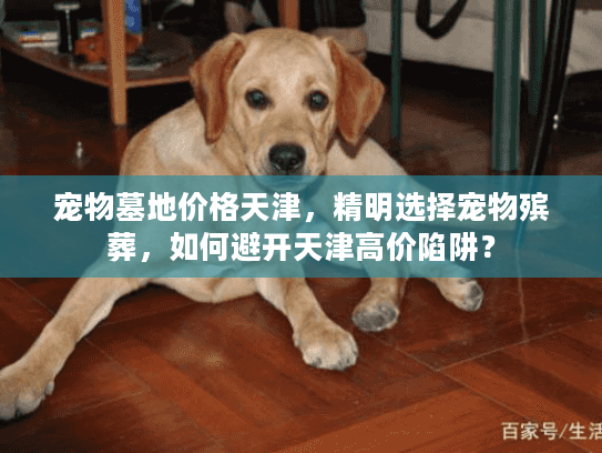 宠物墓地价格天津，精明选择宠物殡葬，如何避开天津高价陷阱？