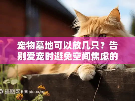 宠物墓地可以放几只?告别爱宠时避免空间焦虑的终极方案 宠物墓地可以放几只?告别爱宠时避免空间焦虑的终极方案