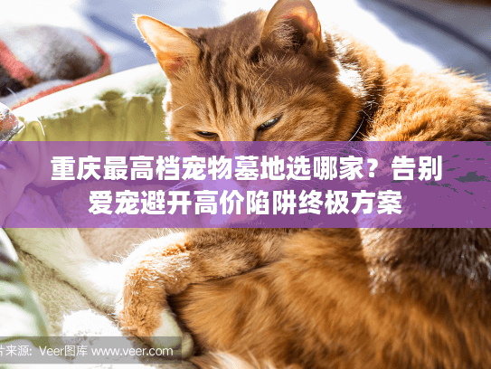 重庆最高档宠物墓地选哪家？告别爱宠避开高价陷阱终极方案