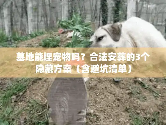 墓地能埋宠物吗？合法安葬的3个隐藏方案（含避坑清单）