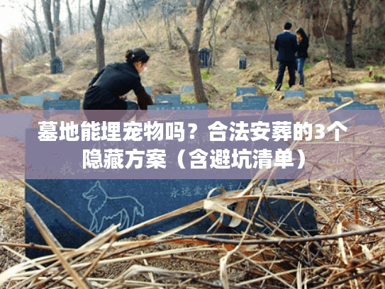墓地能埋宠物吗？合法安葬的3个隐藏方案（含避坑清单）