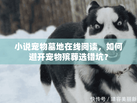 小说宠物墓地在线阅读，如何避开宠物殡葬选错坑？