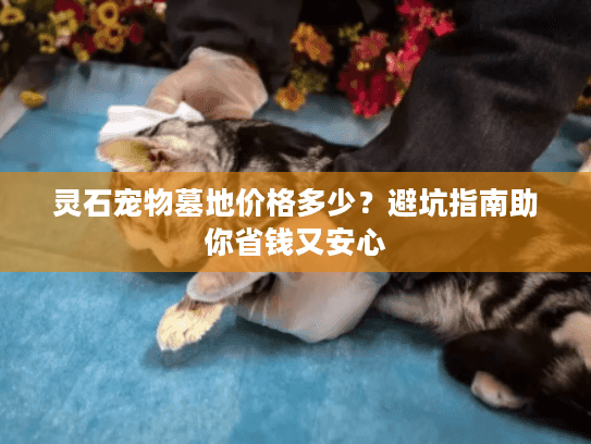 灵石宠物墓地价格多少？避坑指南助你省钱又安心