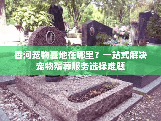 香河宠物墓地在哪里？一站式解决宠物殡葬服务选择难题