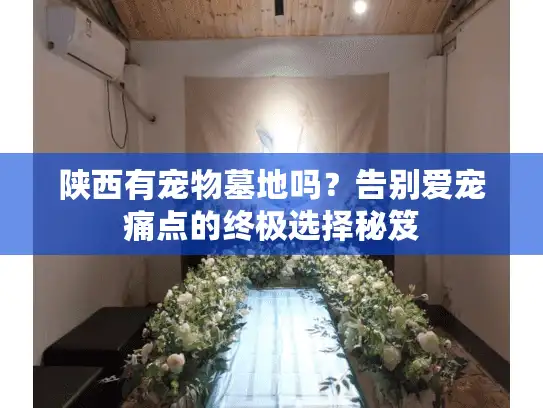 陕西有宠物墓地吗？告别爱宠痛点的终极选择秘笈