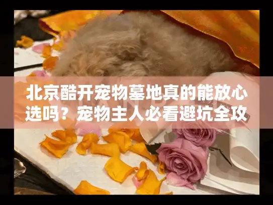 北京酷开宠物墓地真的能放心选吗？宠物主人必看避坑全攻略