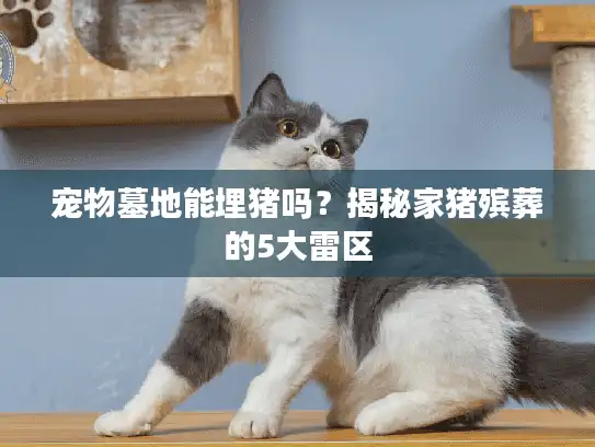 宠物墓地能埋猪吗？揭秘家猪殡葬的5大雷区