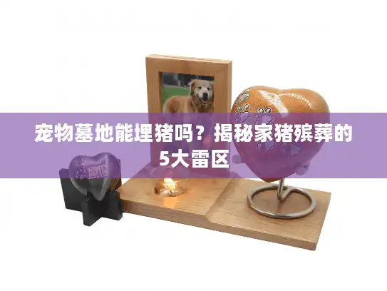 宠物墓地能埋猪吗？揭秘家猪殡葬的5大雷区