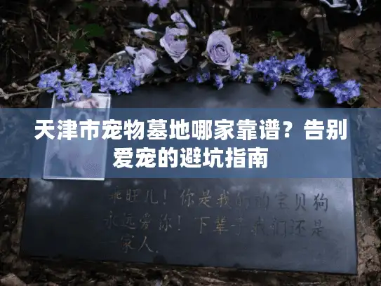 天津市宠物墓地哪家靠谱？告别爱宠的避坑指南