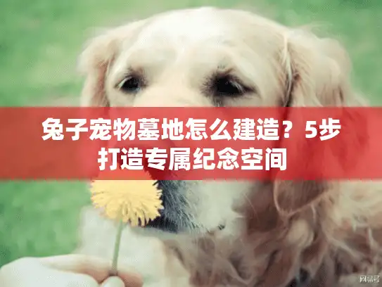 兔子宠物墓地怎么建造？5步打造专属纪念空间