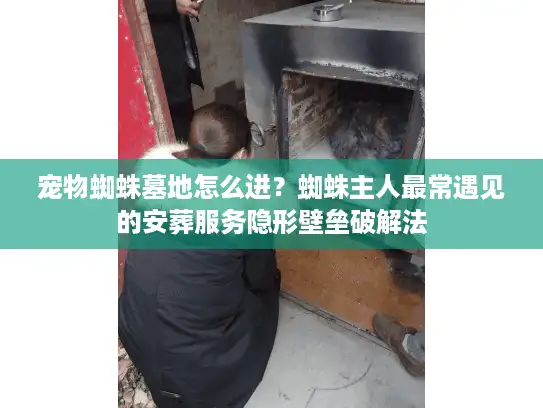 宠物蜘蛛墓地怎么进？蜘蛛主人最常遇见的安葬服务隐形壁垒破解法