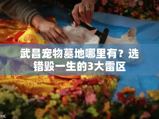 武昌宠物墓地哪里有?选错毁一生的3大雷区 武昌宠物墓地哪里有?选错毁一生的3大雷区