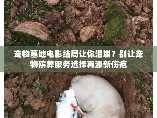 宠物墓地电影结局让你泪崩？别让宠物殡葬服务选择再添新伤疤