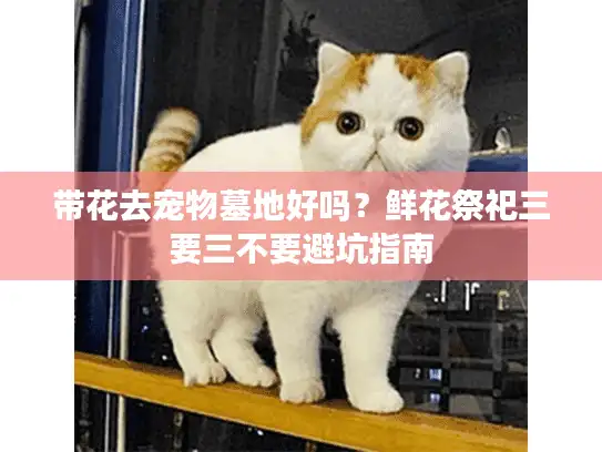 带花去宠物墓地好吗？鲜花祭祀三要三不要避坑指南