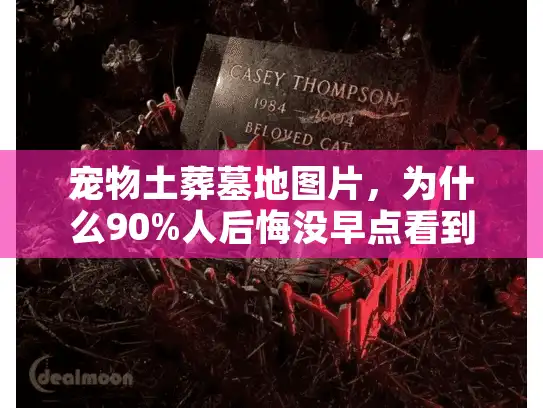 宠物土葬墓地图片，为什么90%人后悔没早点看到这些选择技巧？