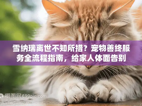 雪纳瑞离世不知所措？宠物善终服务全流程指南，给家人体面告别