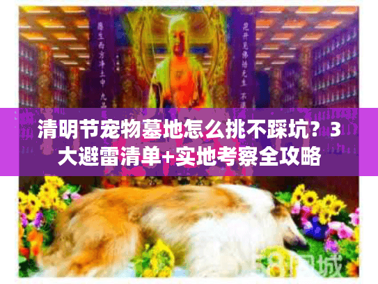 清明节宠物墓地怎么挑不踩坑？3大避雷清单+实地考察全攻略