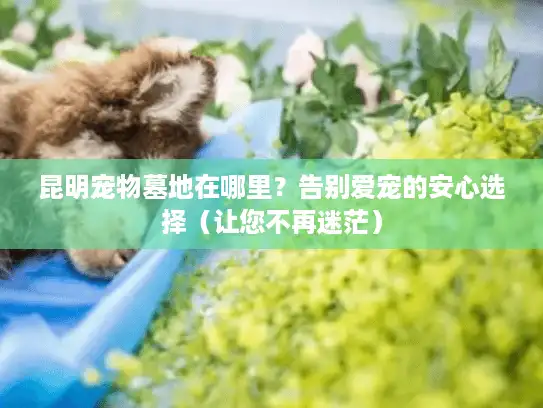 昆明宠物墓地在哪里？告别爱宠的安心选择（让您不再迷茫）