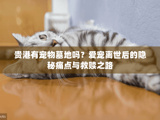 贵港有宠物墓地吗？爱宠离世后的隐秘痛点与救赎之路