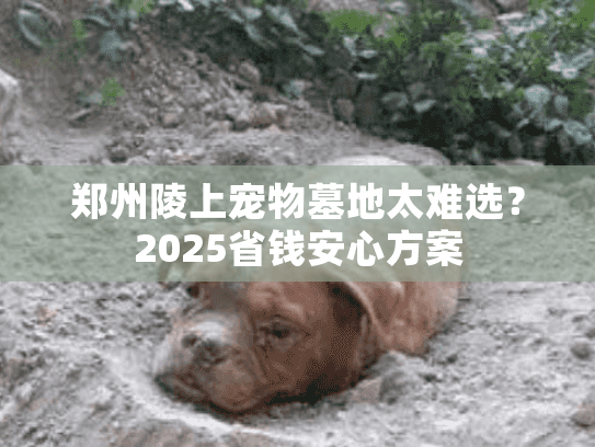 郑州陵上宠物墓地太难选？2025省钱安心方案