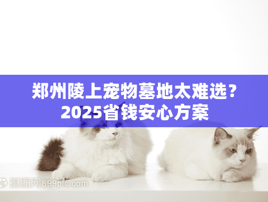 郑州陵上宠物墓地太难选？2025省钱安心方案