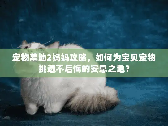 宠物墓地2妈妈攻略，如何为宝贝宠物挑选不后悔的安息之地？