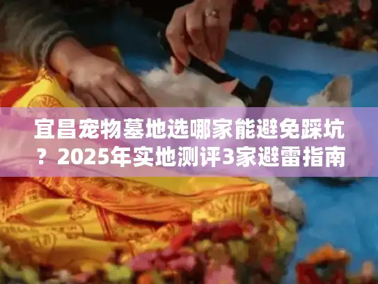 宜昌宠物墓地选哪家能避免踩坑?2025年实地测评3家避雷指南 宜昌宠物墓地选哪家能避免踩坑?2025年实地测评3家避雷指南