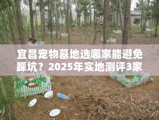 宜昌宠物墓地选哪家能避免踩坑?2025年实地测评3家避雷指南 宜昌宠物墓地选哪家能避免踩坑?2025年实地测评3家避雷指南